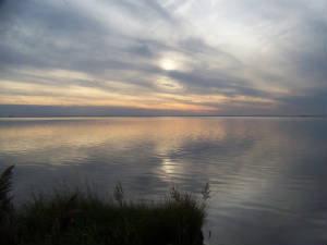bayshore1.jpg