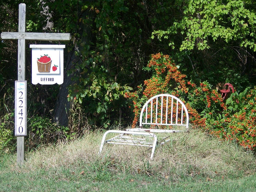 flowerbeds.jpg