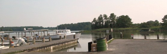 july2007028.jpg
