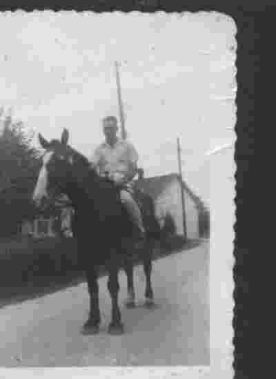 lutheronhorse.jpg